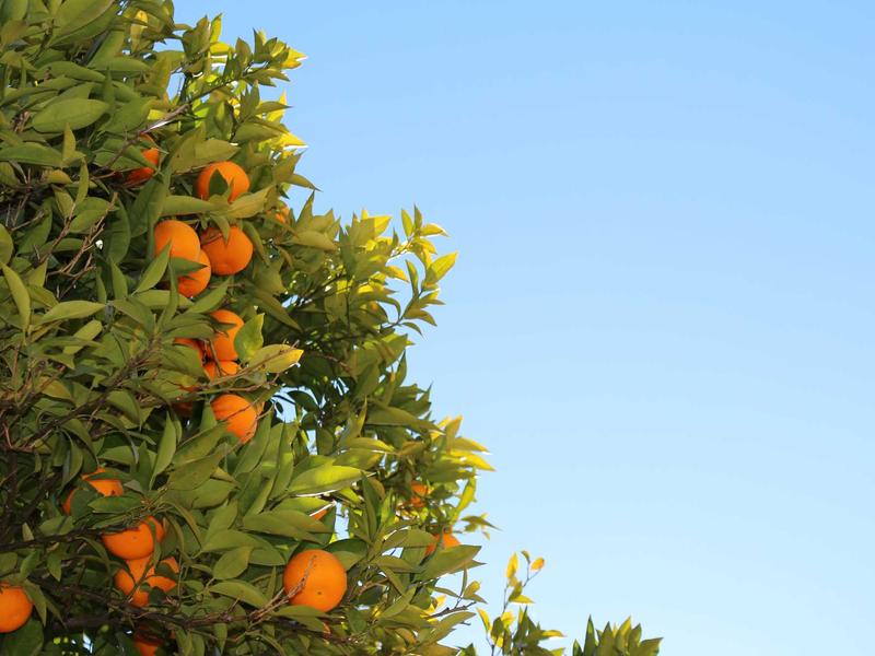 渔樵问答<br>qyn4ntkw.cn 江湖旧梦录